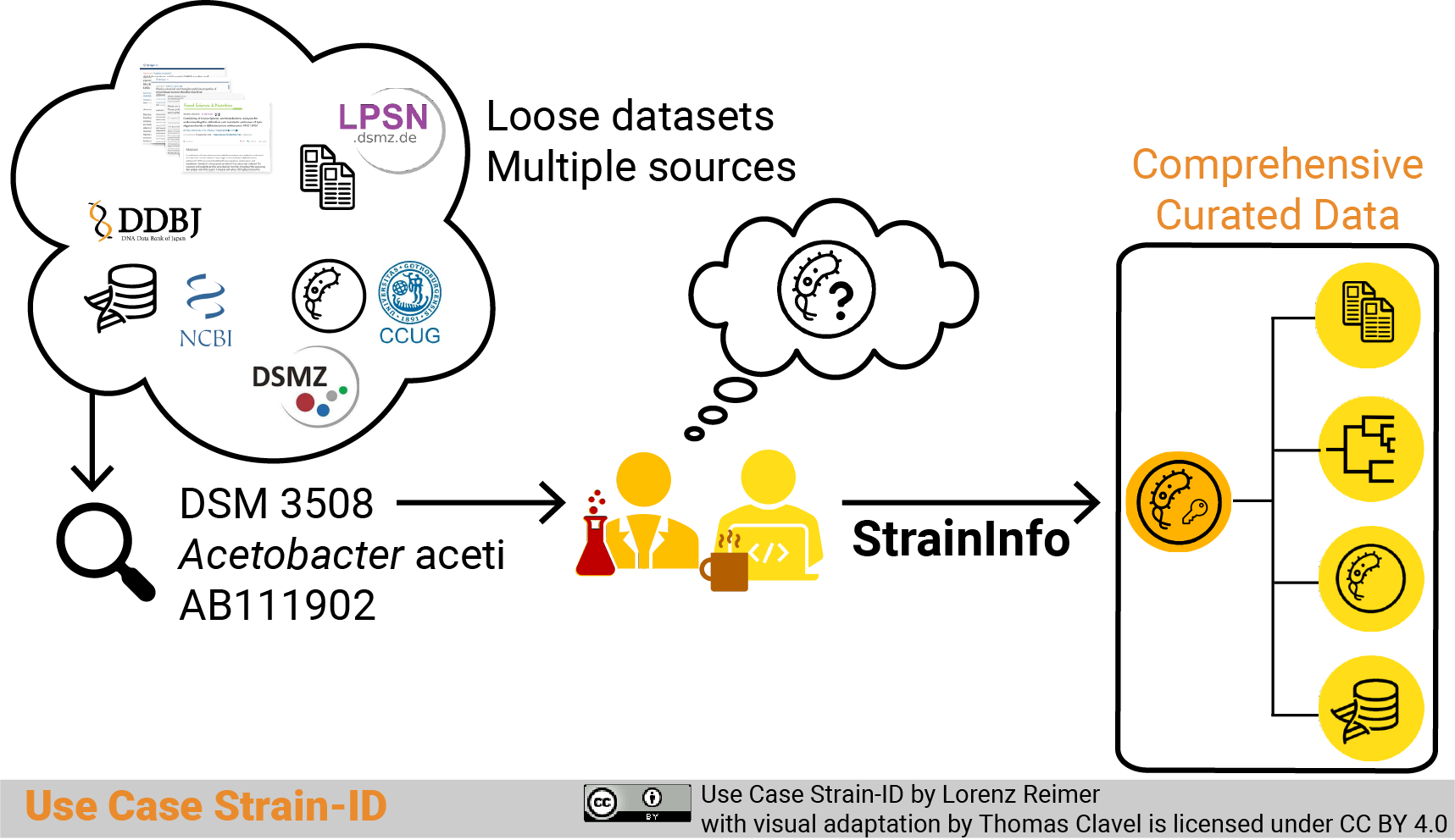 Graphical abstract Use Case Strain-ID